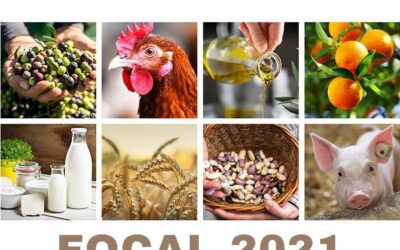 Ayudas FOCAL 2021 para el Sector Agroalimentario