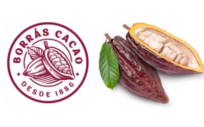 Continúan a buen ritmo las obras de la nueva industria para  Borrás Cacao en Jerez de la Frontera