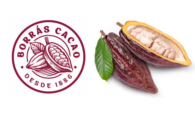 Construction work on the new Borrás Cacao factory in Jerez de la Frontera continues